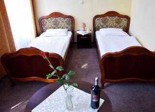 Отель Hotel Polonia Торунь Двухместный номер с 2 отдельными кроватями-4